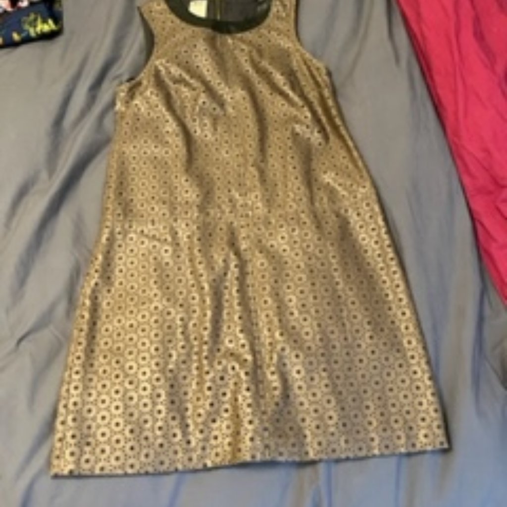 Ali Ro Leather Dress